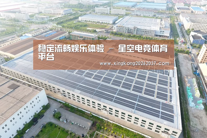 案例展示一