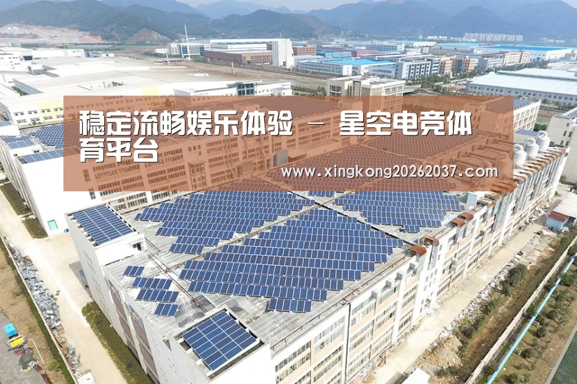 案例展示一