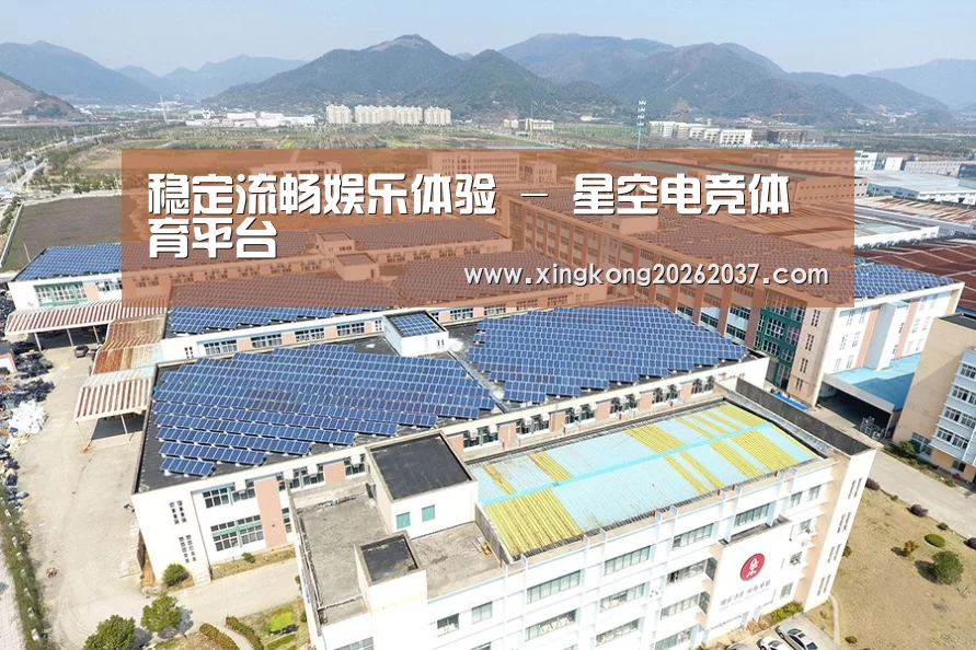 案例展示四
