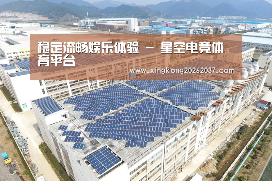 案例展示二