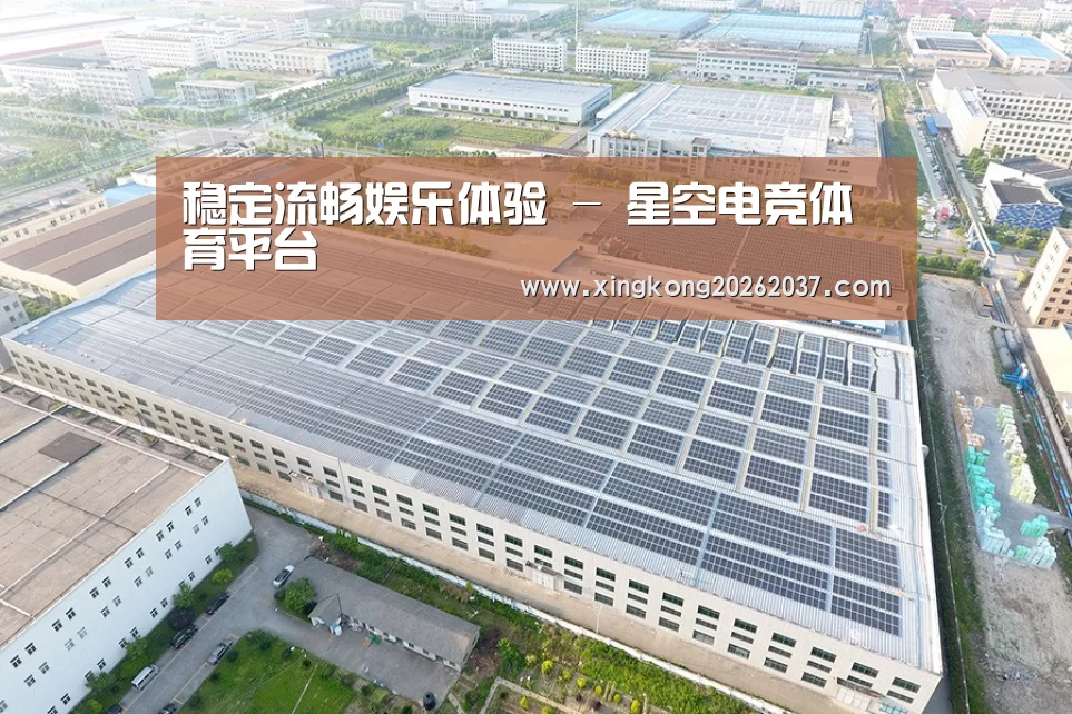 案例展示三