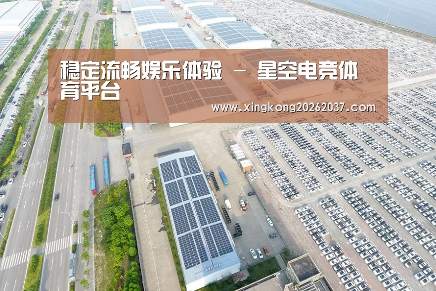 案例展示四