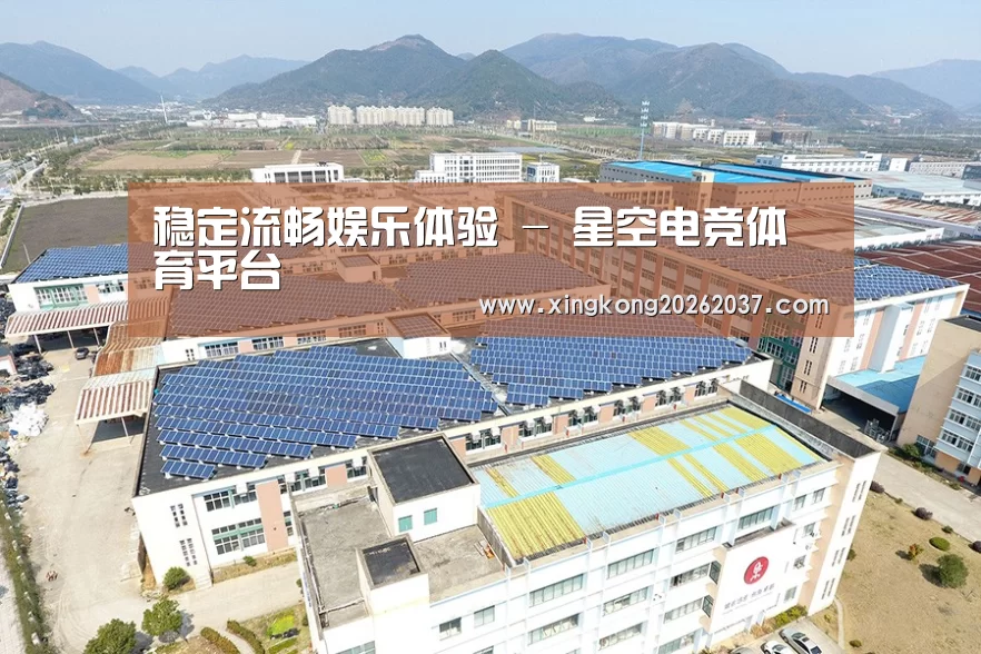 案例展示三