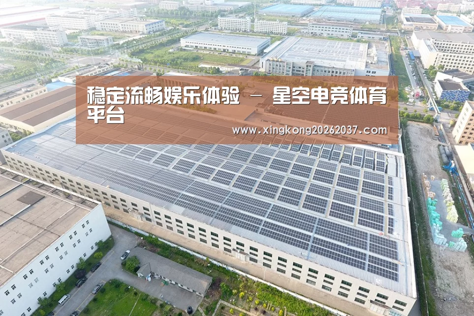 案例展示四