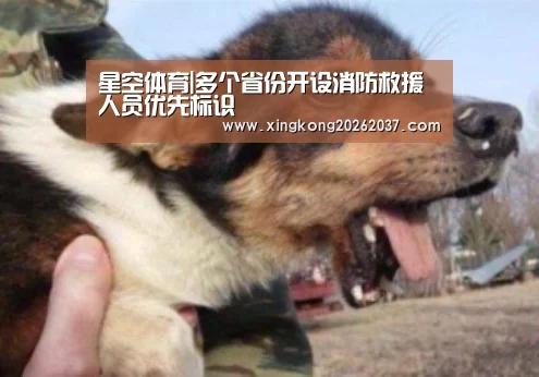 星空体育|多个省份开设消防救援人员优先标识(图1) 星空登录
