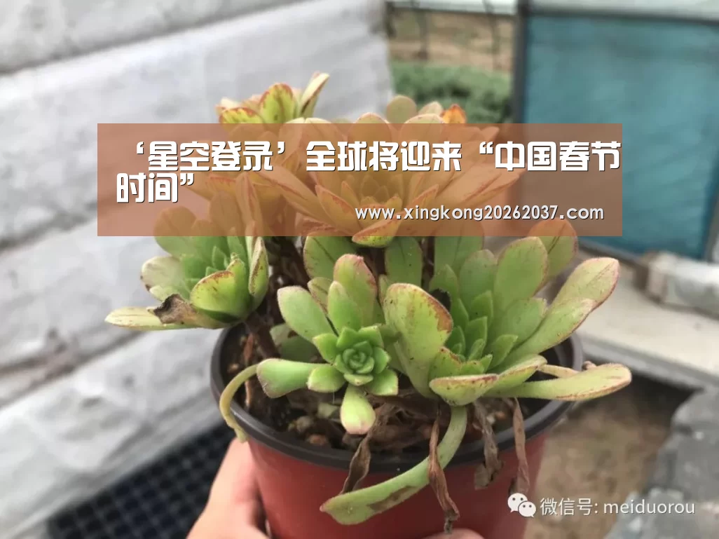 ‘星空登录’全球将迎来“中国春节时间”(图1) 星空娱乐