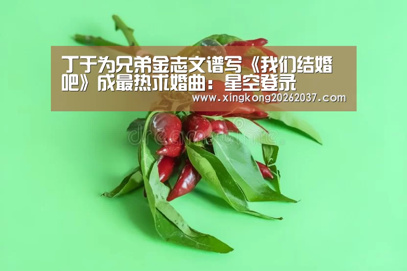 丁于为兄弟金志文谱写《我们结婚吧》成最热求婚曲:星空登录(图1) 星空登录