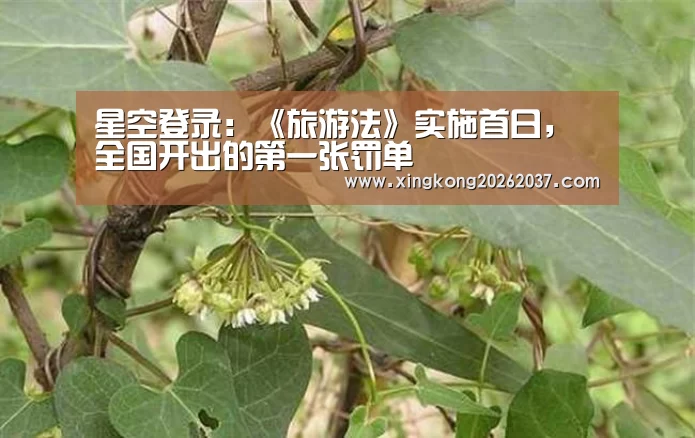 星空登录:《旅游法》实施首日,全国开出的第一张罚单(图3) 星空竞猜