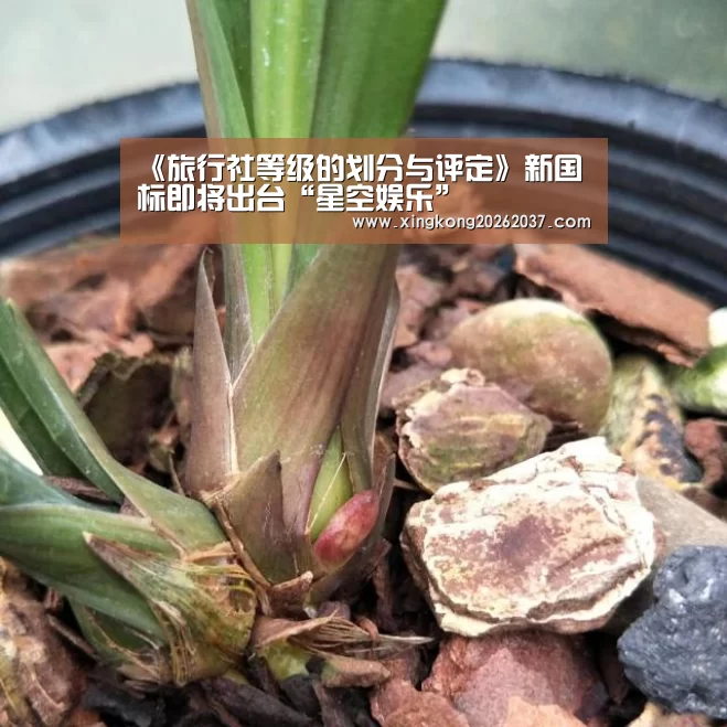 《旅行社等级的划分与评定》新国标即将出台“星空娱乐”(图4) 星空娱乐