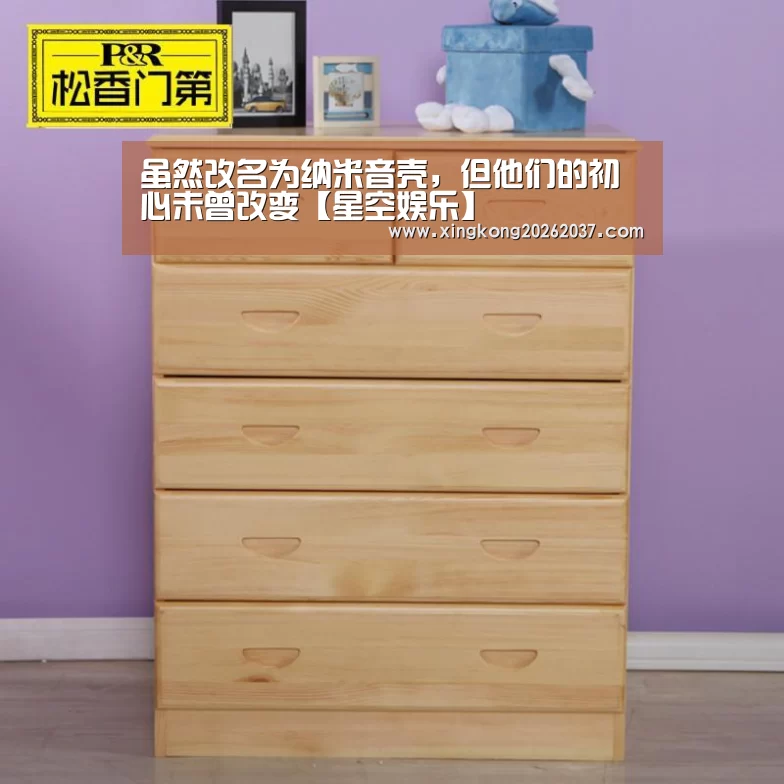 虽然改名为纳米音壳，但他们的初心未曾改变