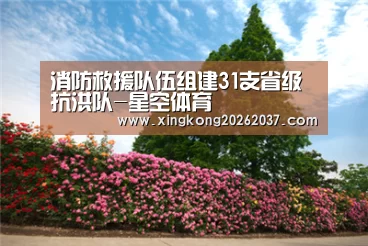 消防救援队伍组建31支省级抗洪队-星空体育(图3) 星空娱乐