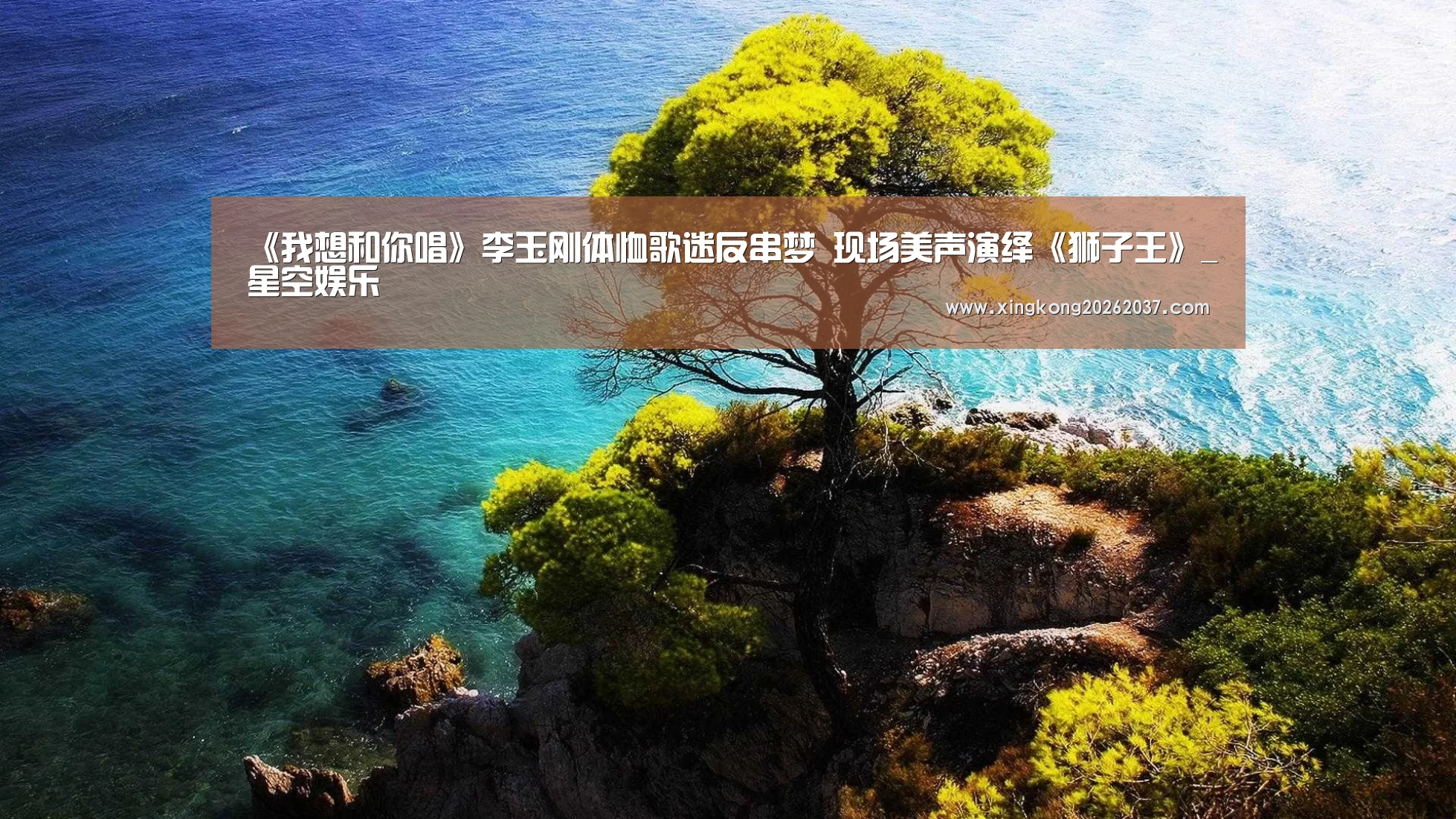 星空娱乐