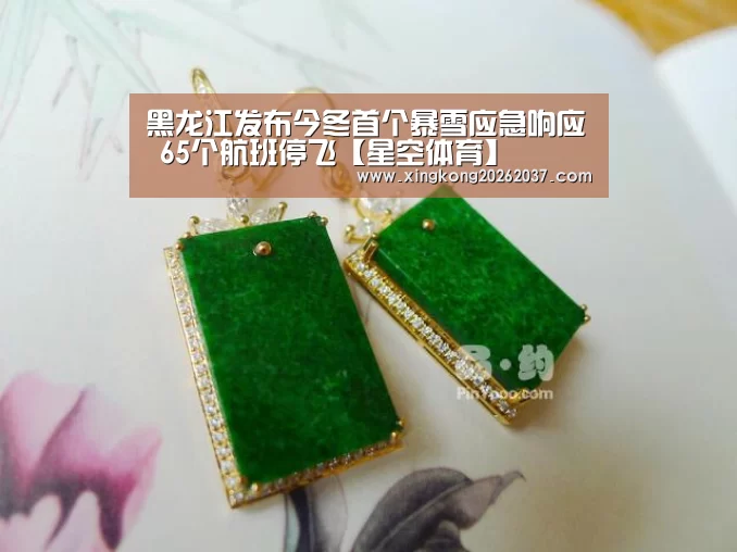 黑龙江发布今冬首个暴雪应急响应 65个航班停飞【星空体育】(图1) 星空体育